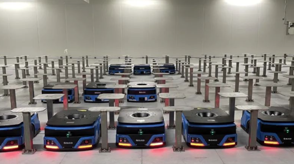 Food Grading Robots: Leading the Food Industry into a New Era of Intelligence